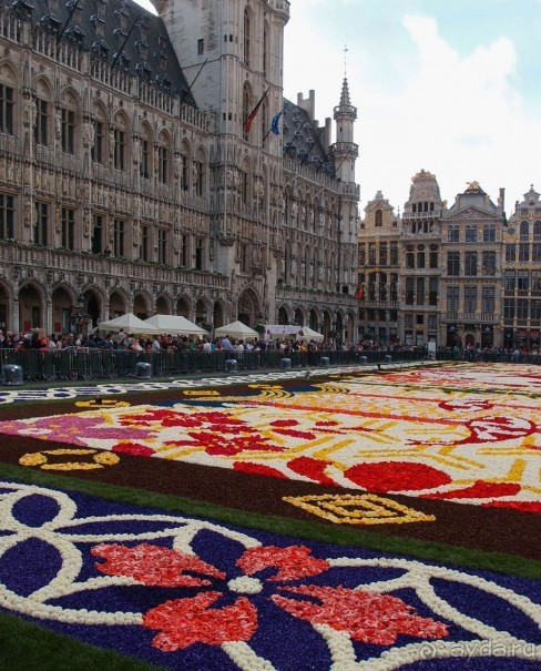 Ковёр — самолёт