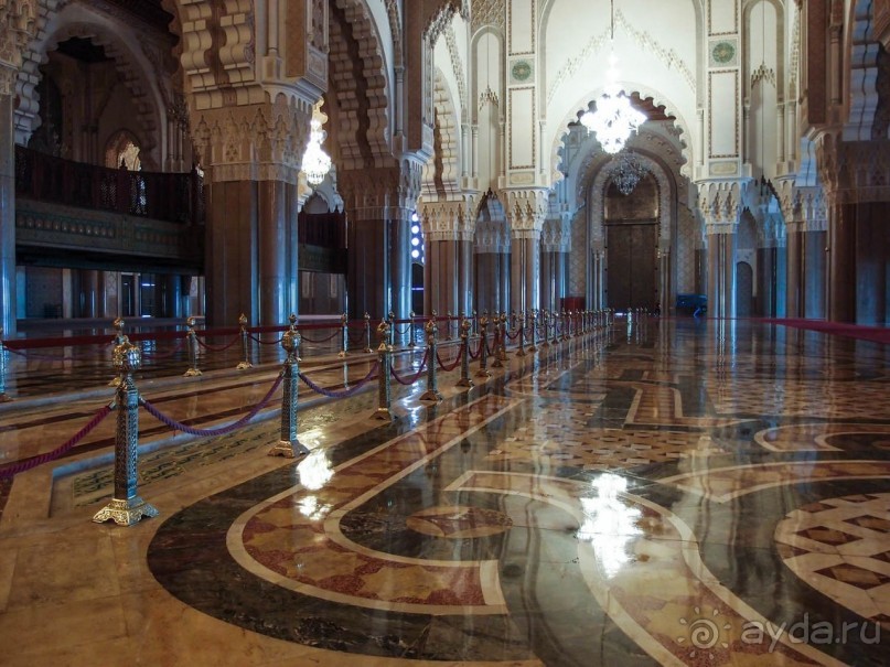 Плывущая на троне пенных волн