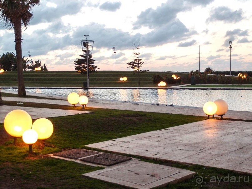 Плывущая на троне пенных волн