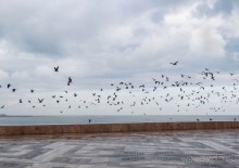 Плывущая на троне пенных волн