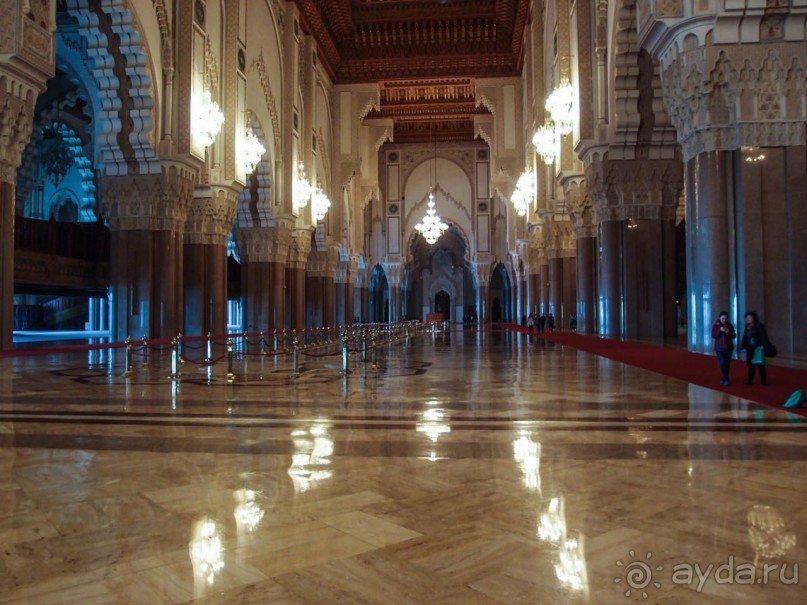 Плывущая на троне пенных волн