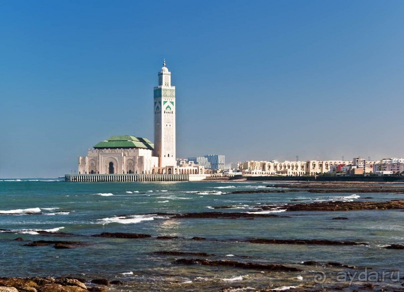 Плывущая на троне пенных волн