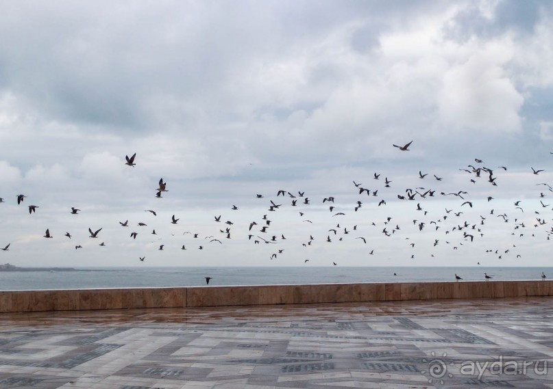 Плывущая на троне пенных волн