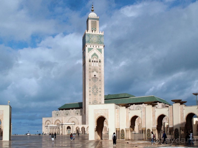 Плывущая на троне пенных волн