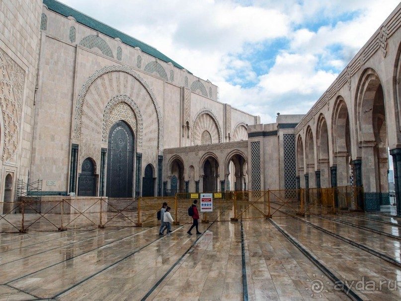 Плывущая на троне пенных волн