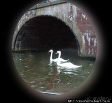 В коричневых тонах