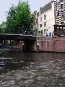 В коричневых тонах