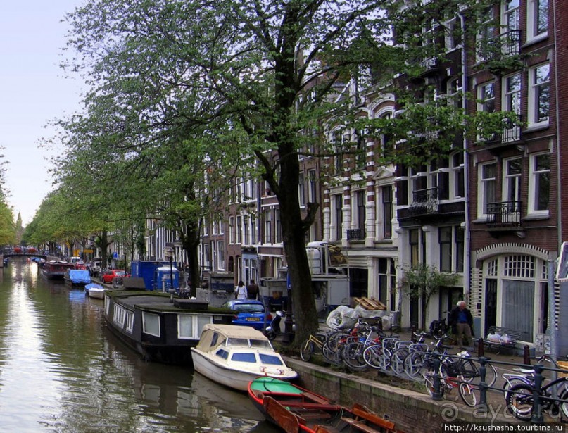 В коричневых тонах В коричневых тонах