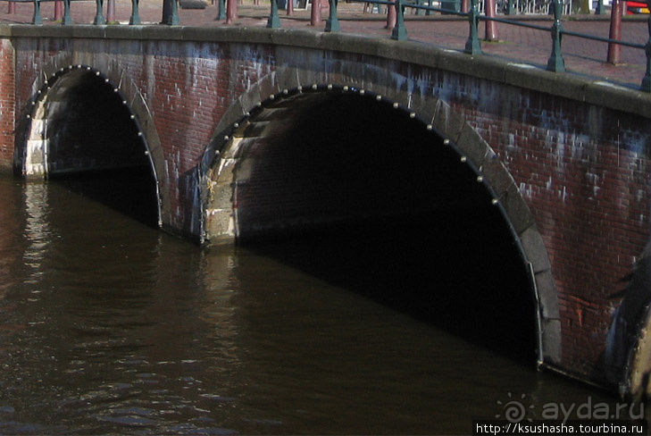 В коричневых тонах В коричневых тонах