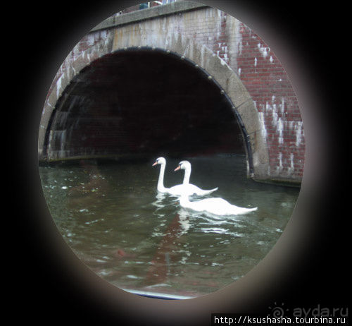 В коричневых тонах В коричневых тонах