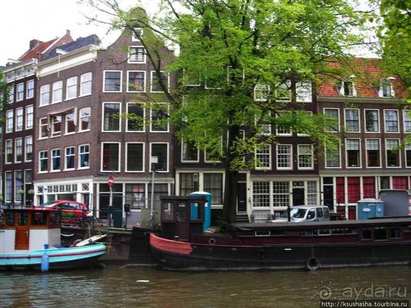 В коричневых тонах В коричневых тонах