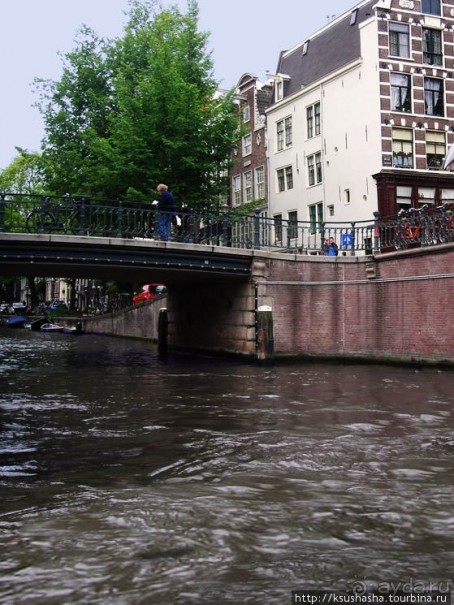 В коричневых тонах В коричневых тонах