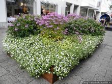 Ингольштадт. Кому — барокко, а кому — Армани