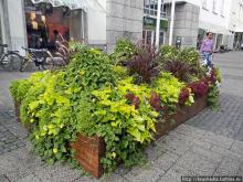 Ингольштадт. Кому — барокко, а кому — Армани