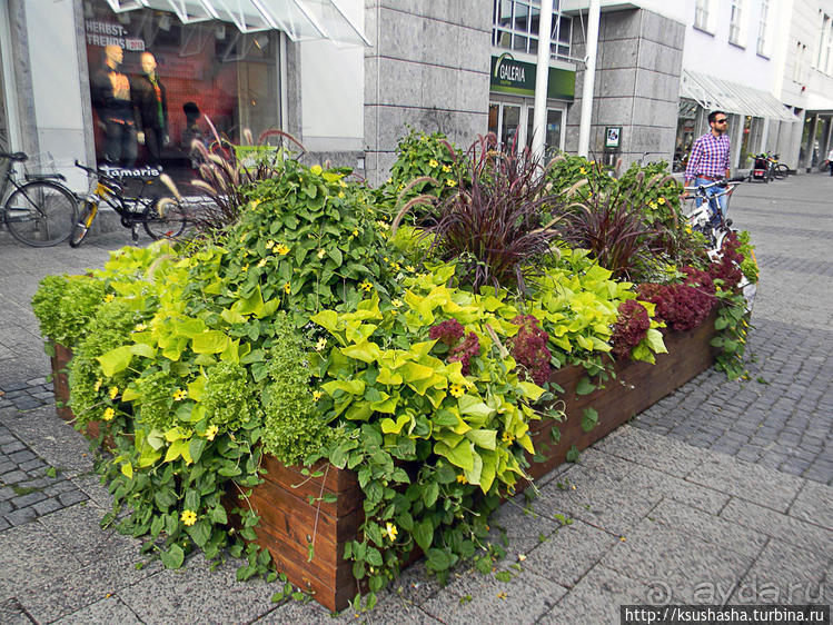 Ингольштадт. Кому — барокко, а кому — Армани