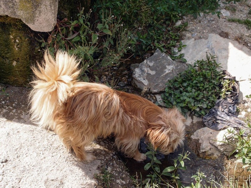 Сельские реалии