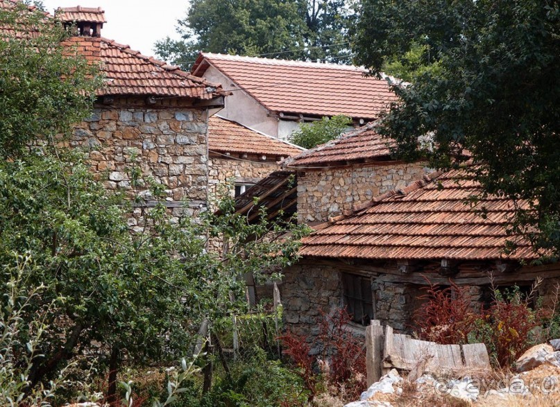 Сельские реалии