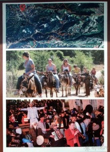 Сельские реалии