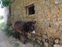 Сельские реалии