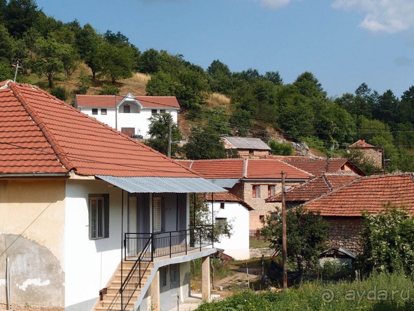 Сельские реалии