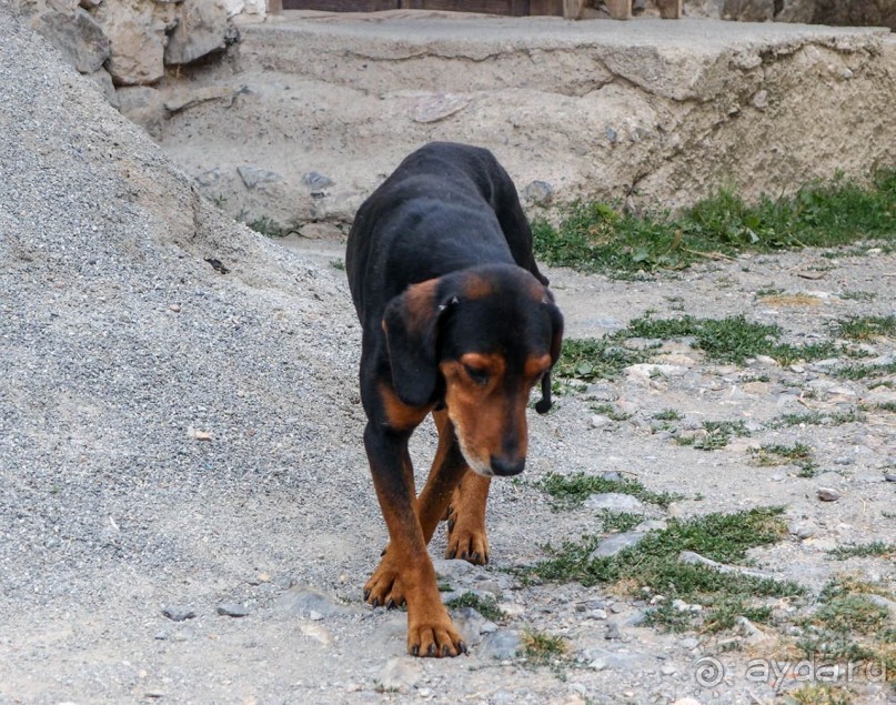 Сельские реалии