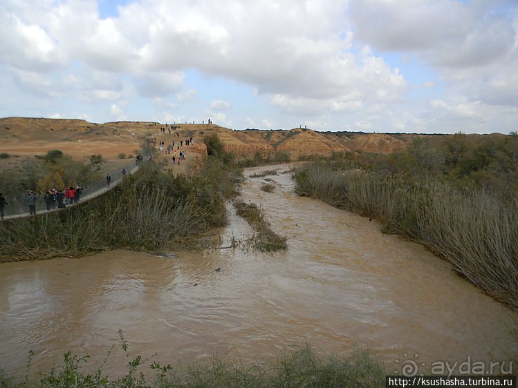 "Летающая" клубника