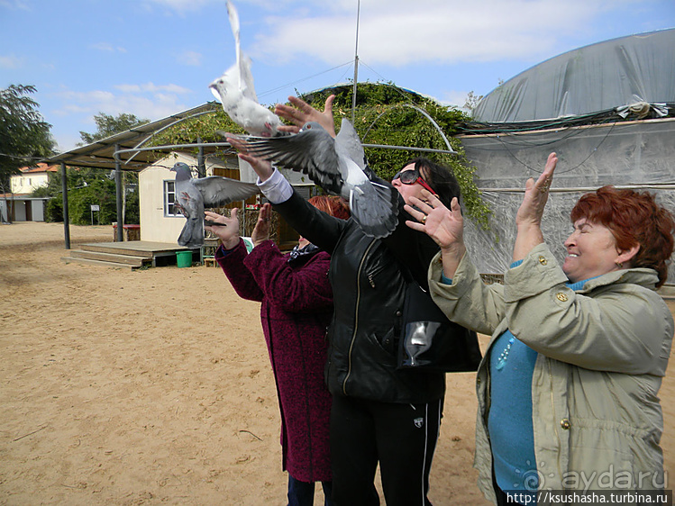 "Летающая" клубника