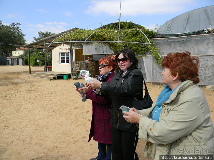 "Летающая" клубника