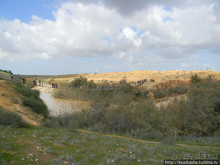 "Летающая" клубника