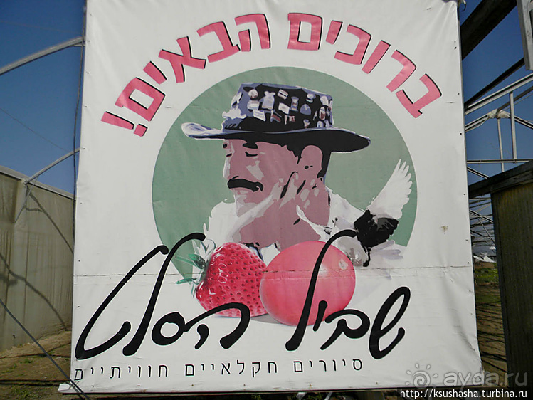 "Летающая" клубника