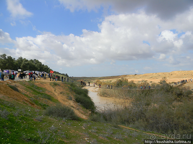 "Летающая" клубника