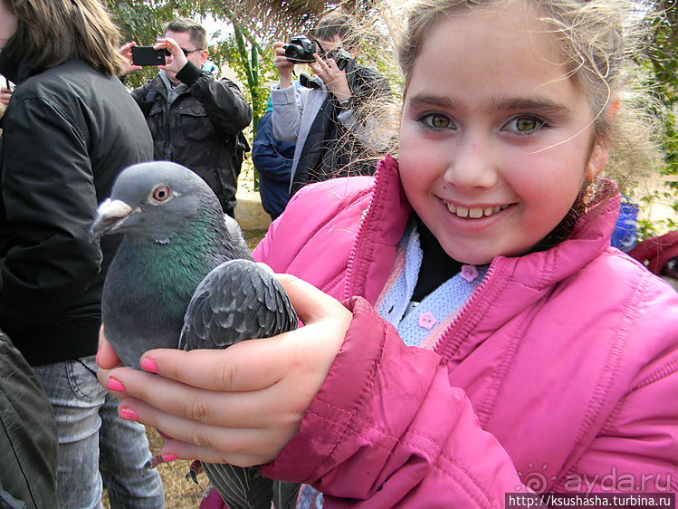 "Летающая" клубника