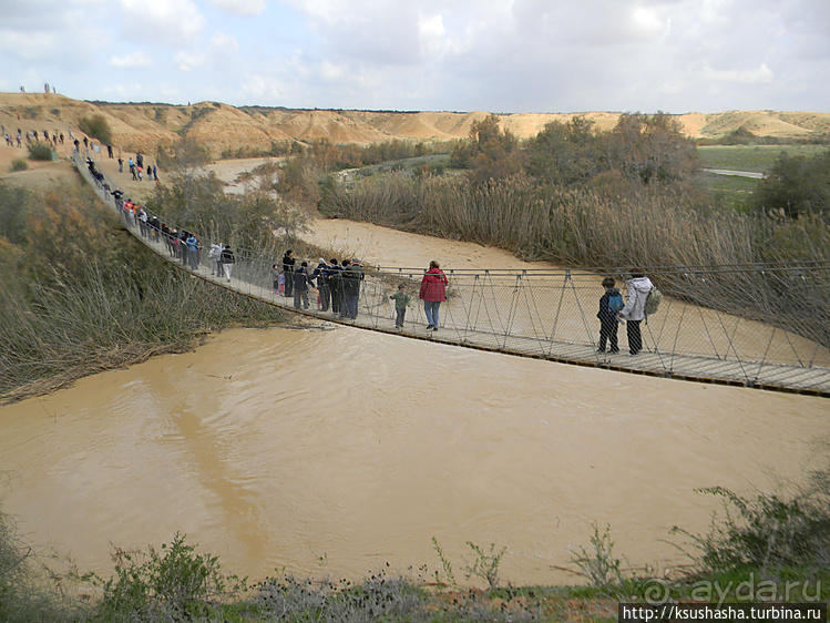 "Летающая" клубника