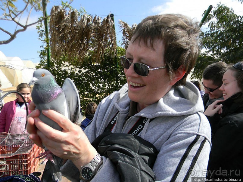 "Летающая" клубника