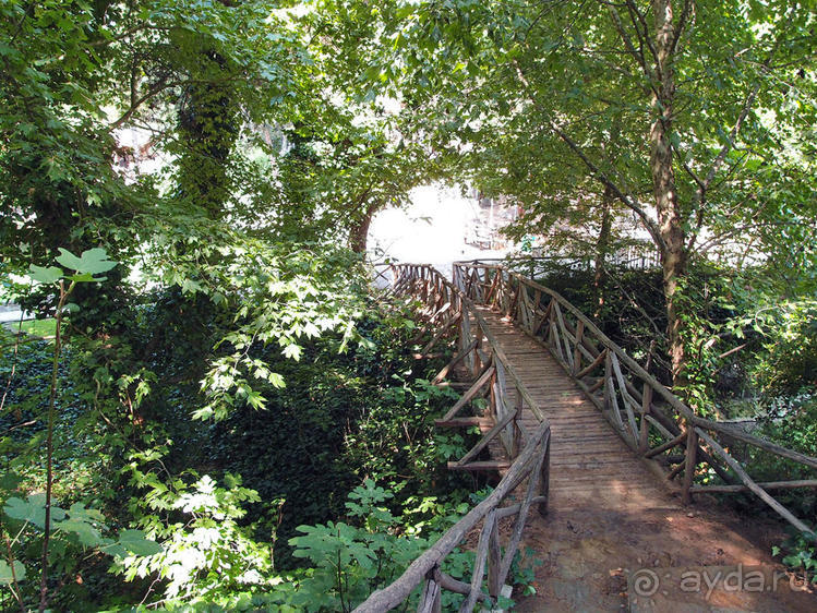 Бедный, бедный зоопарк