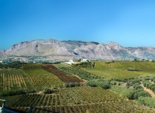 Альбом отзыва "Сицилийский пупок"