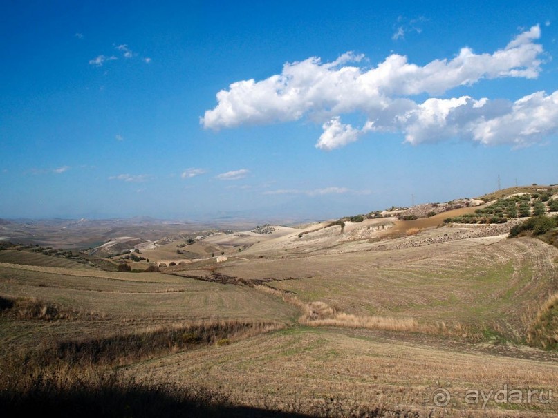Сицилийский пупок
