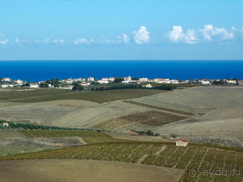 Альбом отзыва "Сицилийский пупок"