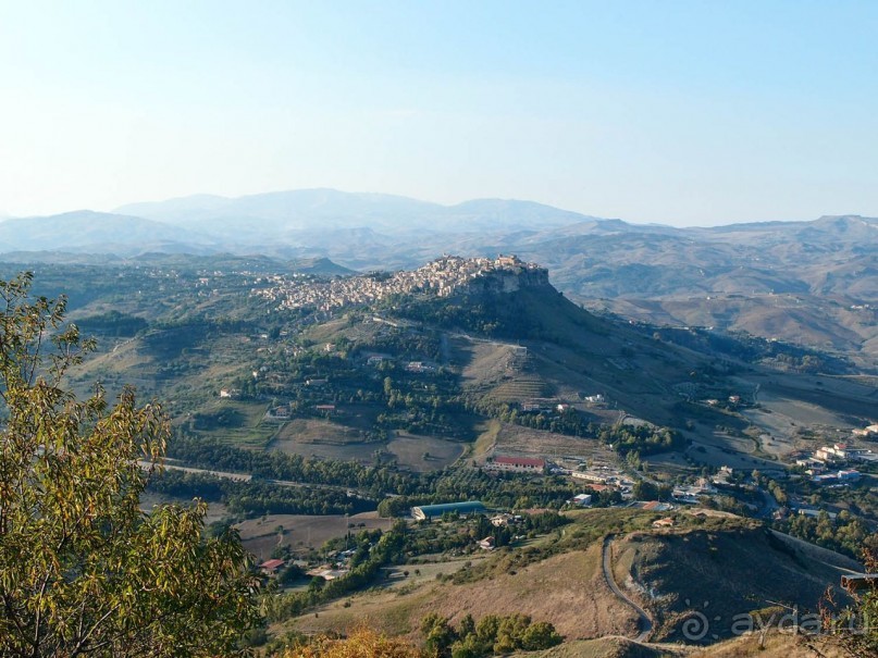 Сицилийский пупок