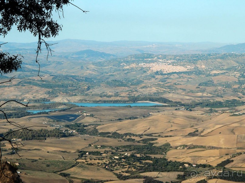 Сицилийский пупок