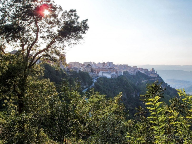 Сицилийский пупок