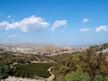 Сицилийский пупок