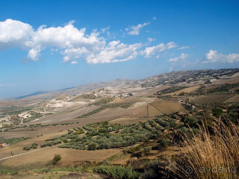 Сицилийский пупок