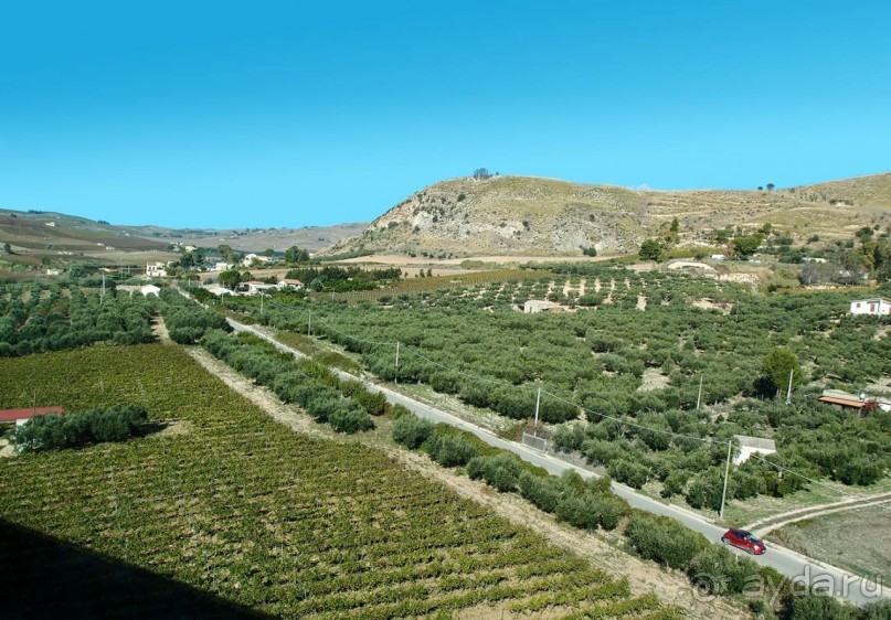 Сицилийский пупок