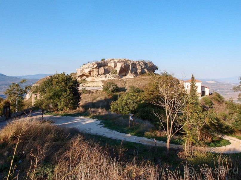 Сицилийский пупок