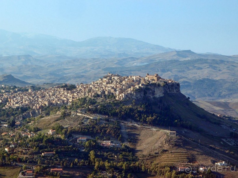 Сицилийский пупок