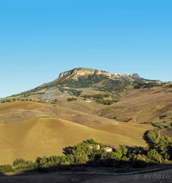 Сицилийский пупок