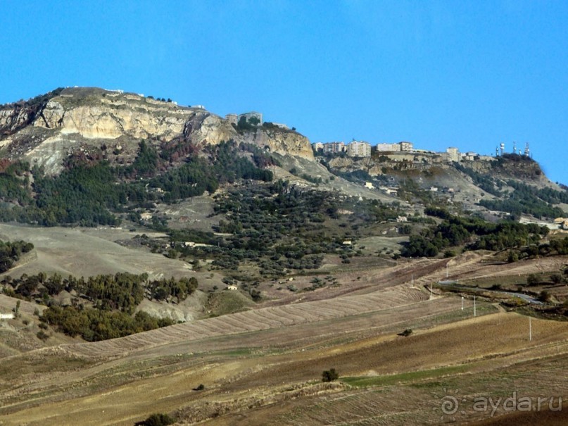 Сицилийский пупок