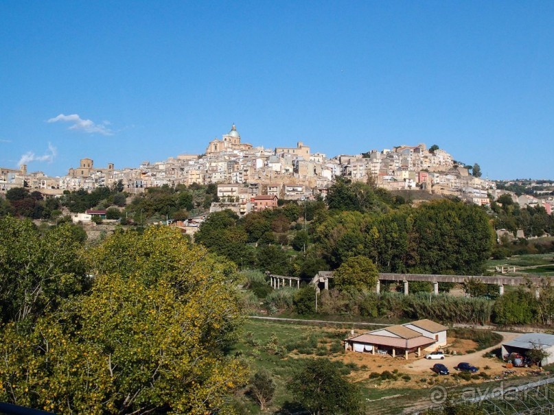 Сицилийский пупок