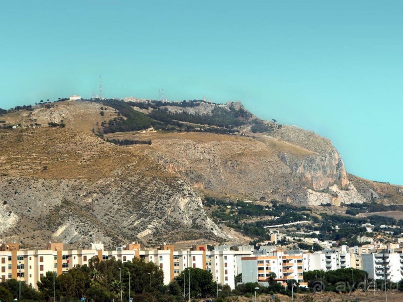 Сицилийский пупок